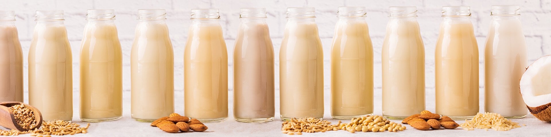 基于植物的1920x480