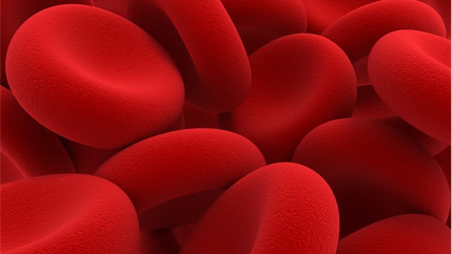 Ebiotech公司达到近100％的收益率640x360